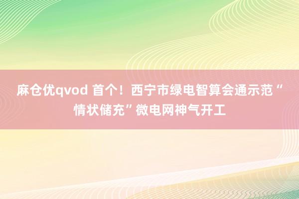 麻仓优qvod 首个！西宁市绿电智算会通示范“情状储充”微电网神气开工