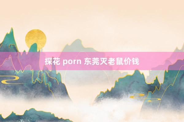 探花 porn 东莞灭老鼠价钱