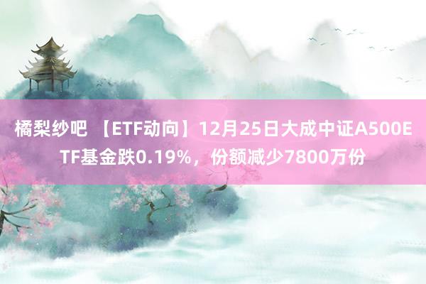 橘梨纱吧 【ETF动向】12月25日大成中证A500ETF基金跌0.19%，份额减少7800万份