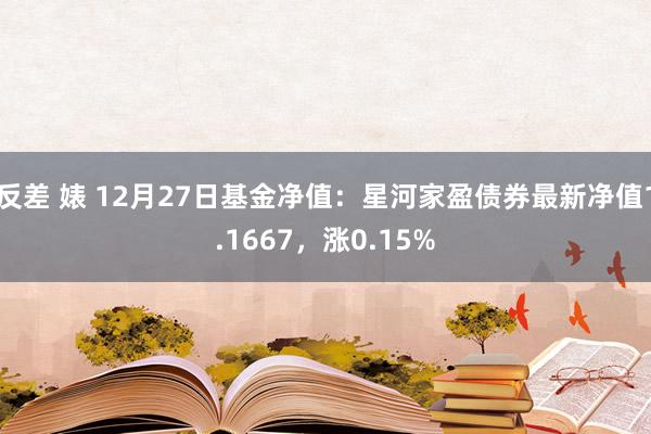 反差 婊 12月27日基金净值：星河家盈债券最新净值1.1667，涨0.15%