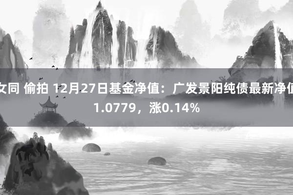 女同 偷拍 12月27日基金净值：广发景阳纯债最新净值1.0779，涨0.14%