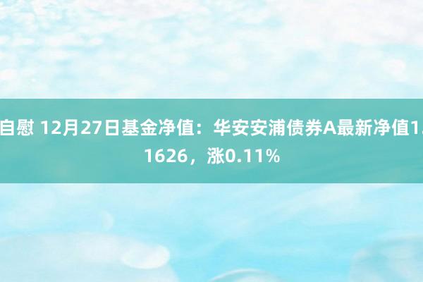 自慰 12月27日基金净值：华安安浦债券A最新净值1.1626，涨0.11%