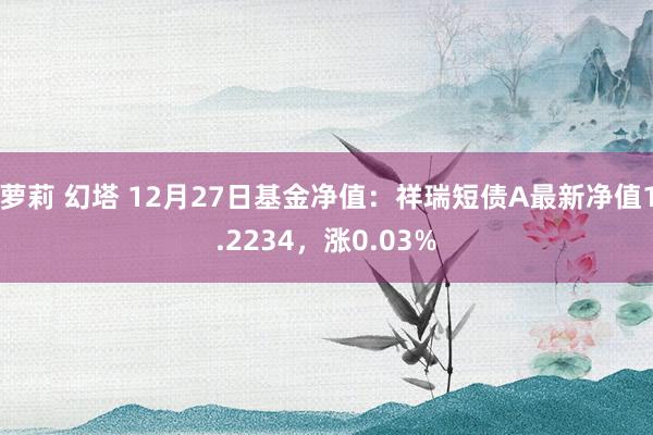 萝莉 幻塔 12月27日基金净值：祥瑞短债A最新净值1.2234，涨0.03%