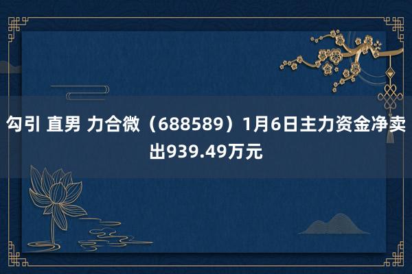 勾引 直男 力合微（688589）1月6日主力资金净卖出939.49万元