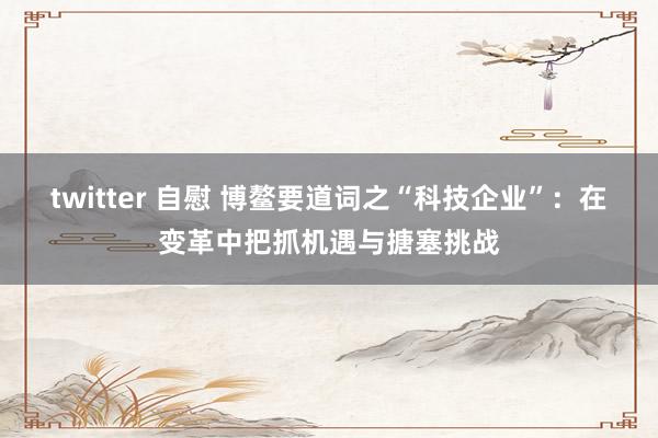 twitter 自慰 博鳌要道词之“科技企业”：在变革中把抓机遇与搪塞挑战