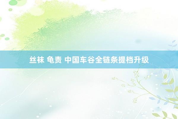 丝袜 龟责 中国车谷全链条提档升级