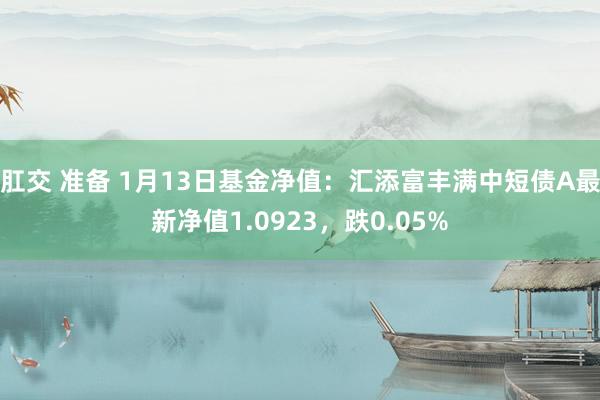 肛交 准备 1月13日基金净值：汇添富丰满中短债A最新净值1.0923，跌0.05%