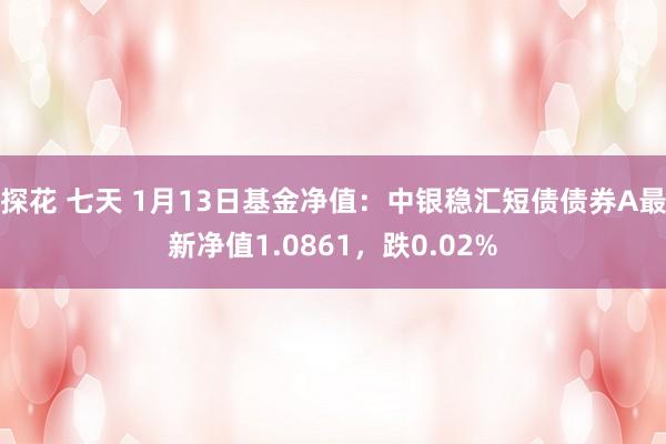 探花 七天 1月13日基金净值：中银稳汇短债债券A最新净值1.0861，跌0.02%