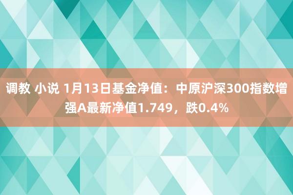 调教 小说 1月13日基金净值：中原沪深300指数增强A最新净值1.749，跌0.4%