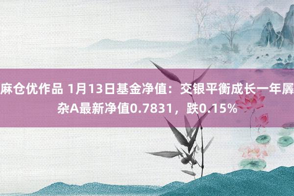 麻仓优作品 1月13日基金净值：交银平衡成长一年羼杂A最新净值0.7831，跌0.15%