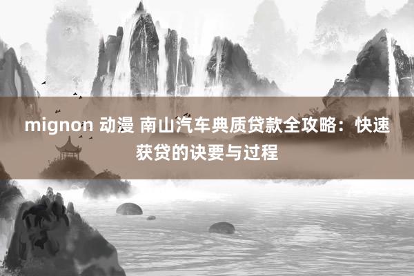 mignon 动漫 南山汽车典质贷款全攻略：快速获贷的诀要与过程