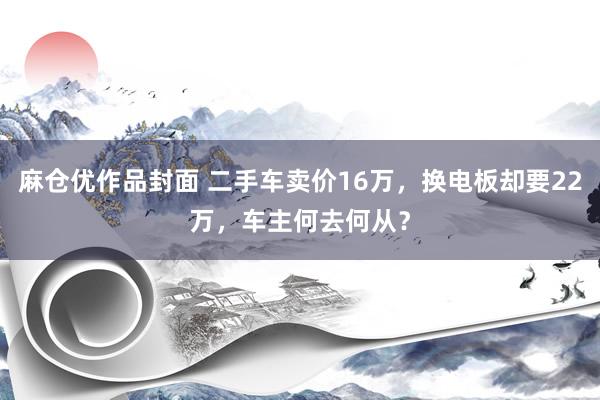 麻仓优作品封面 二手车卖价16万，换电板却要22万，车主何去何从？