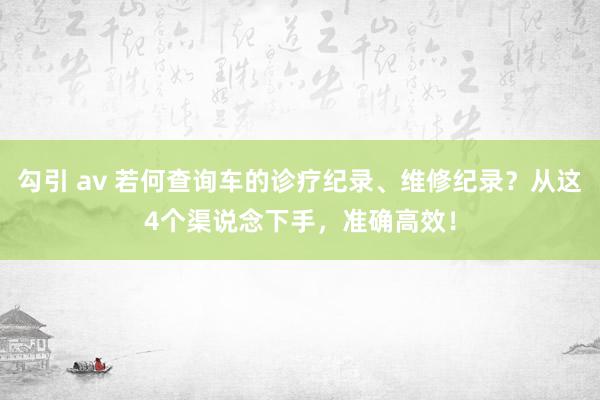 勾引 av 若何查询车的诊疗纪录、维修纪录？从这4个渠说念下手，准确高效！