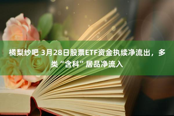 橘梨纱吧 3月28日股票ETF资金执续净流出，多类“含科”居品净流入