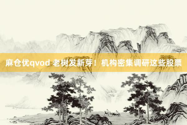 麻仓优qvod 老树发新芽！机构密集调研这些股票