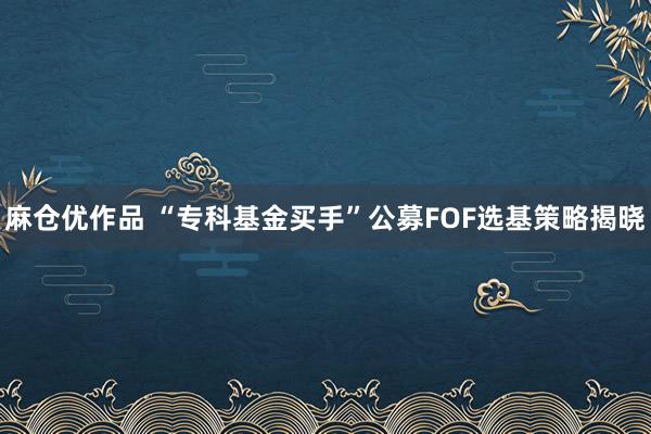 麻仓优作品 “专科基金买手”公募FOF选基策略揭晓