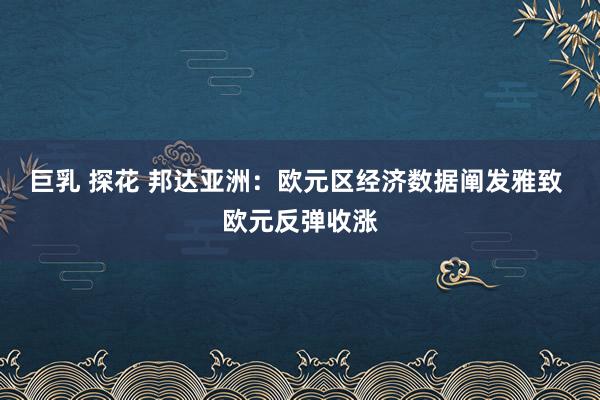 巨乳 探花 邦达亚洲：欧元区经济数据阐发雅致 欧元反弹收涨