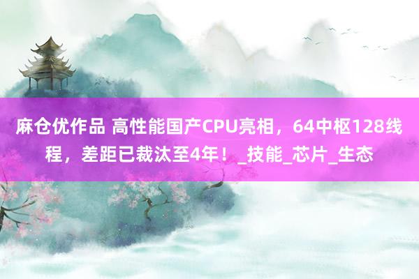 麻仓优作品 高性能国产CPU亮相，64中枢128线程，差距已裁汰至4年！_技能_芯片_生态