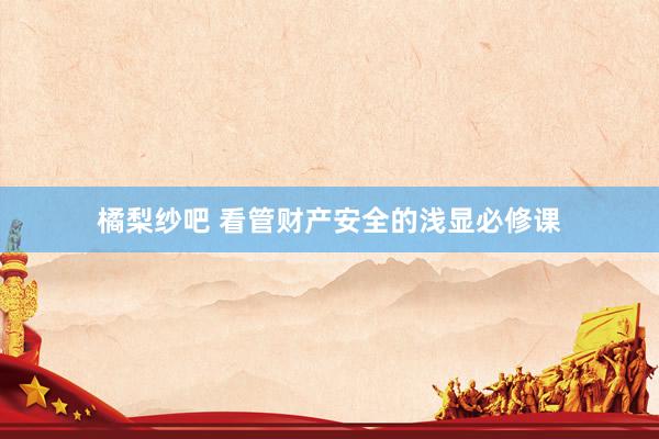 橘梨纱吧 看管财产安全的浅显必修课