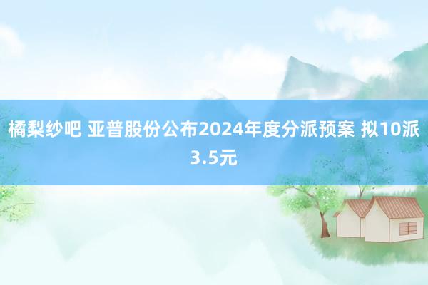 橘梨纱吧 亚普股份公布2024年度分派预案 拟10派3.5元