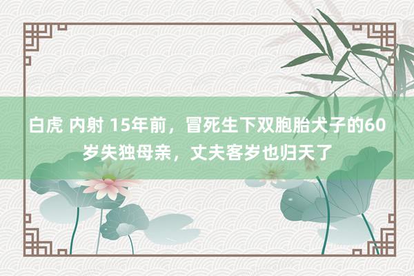 白虎 内射 15年前，冒死生下双胞胎犬子的60岁失独母亲，丈夫客岁也归天了
