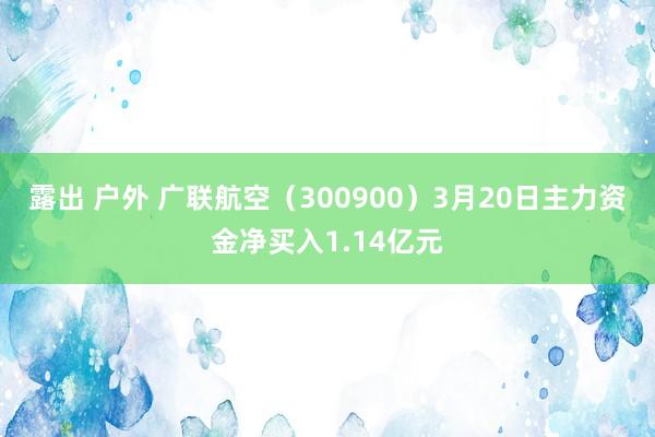 露出 户外 广联航空（300900）3月20日主力资金净买入1.14亿元