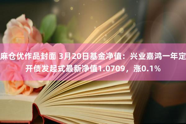麻仓优作品封面 3月20日基金净值：兴业嘉鸿一年定开债发起式最新净值1.0709，涨0.1%