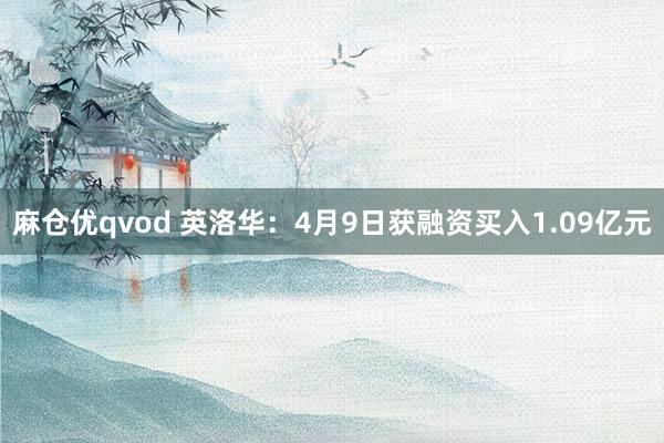 麻仓优qvod 英洛华：4月9日获融资买入1.09亿元