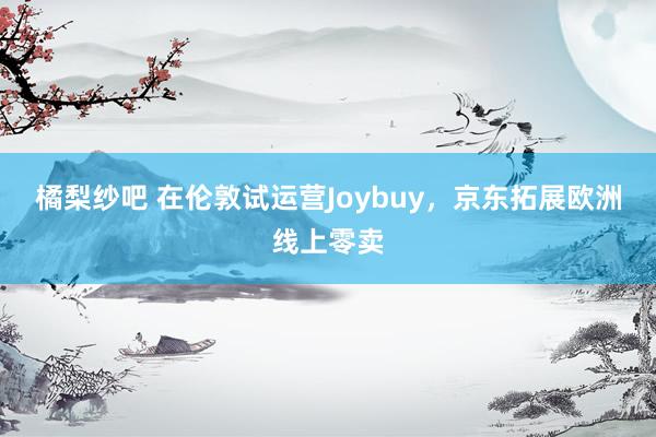 橘梨纱吧 在伦敦试运营Joybuy，京东拓展欧洲线上零卖
