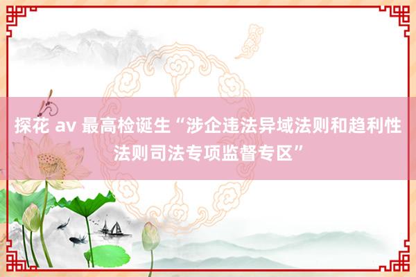 探花 av 最高检诞生“涉企违法异域法则和趋利性法则司法专项监督专区”