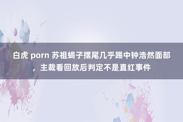白虎 porn 苏祖蝎子摆尾几乎踢中钟浩然面部，主裁看回放后判定不是直红事件