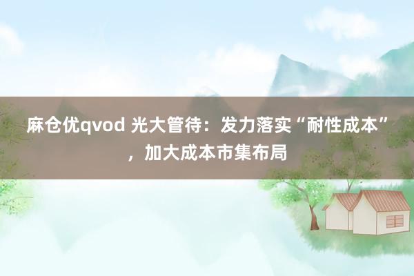 麻仓优qvod 光大管待：发力落实“耐性成本”，加大成本市集布局