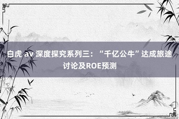 白虎 av 深度探究系列三:“千亿公牛”达成旅途讨论及ROE预测