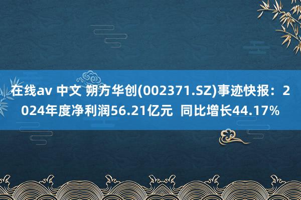 在线av 中文 朔方华创(002371.SZ)事迹快报：2024年度净利润56.21亿元  同比增长44.17%
