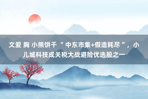 文爱 胸 小熊饼干 ＂中东市集+假造耗尽＂，小儿城科技成关税大战避险优选股之一