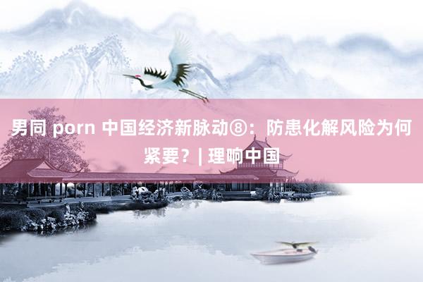 男同 porn 中国经济新脉动⑧：防患化解风险为何紧要？| 理响中国