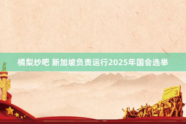 橘梨纱吧 新加坡负责运行2025年国会选举