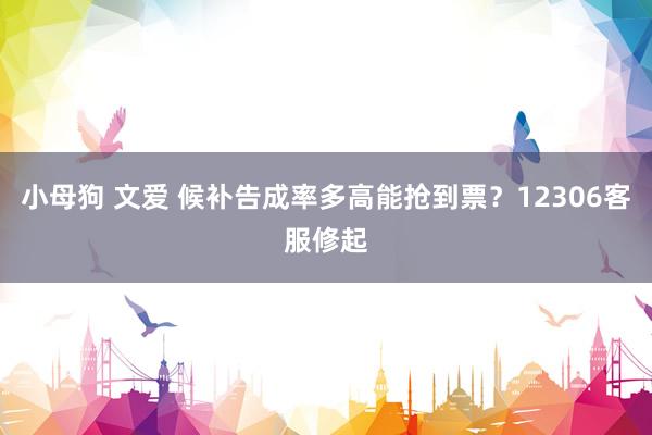 小母狗 文爱 候补告成率多高能抢到票？12306客服修起
