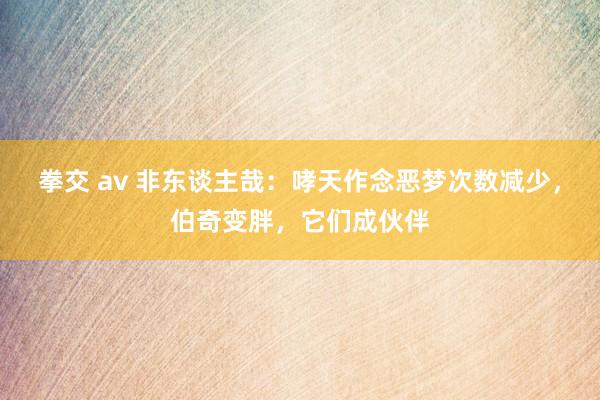 拳交 av 非东谈主哉：哮天作念恶梦次数减少，伯奇变胖，它们成伙伴