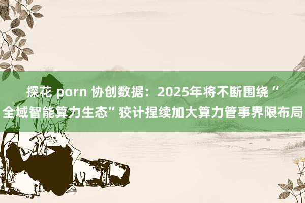 探花 porn 协创数据：2025年将不断围绕“全域智能算力生态”狡计捏续加大算力管事界限布局