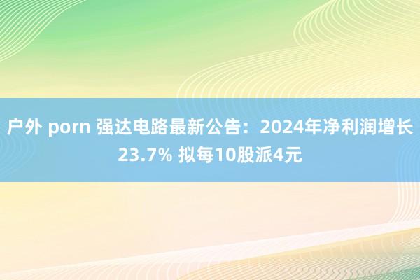 户外 porn 强达电路最新公告：2024年净利润增长23.7% 拟每10股派4元