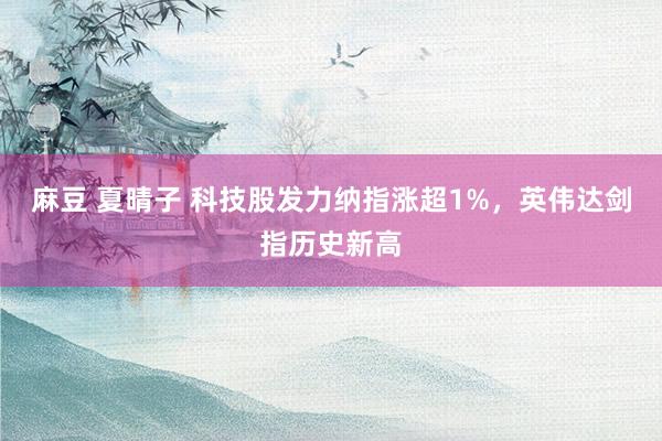 麻豆 夏晴子 科技股发力纳指涨超1%，英伟达剑指历史新高