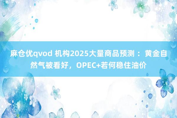 麻仓优qvod 机构2025大量商品预测 ：黄金自然气被看好，OPEC+若何稳住油价
