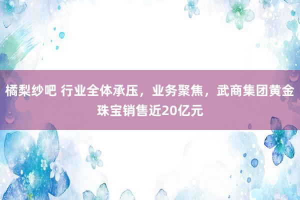 橘梨纱吧 行业全体承压，业务聚焦，武商集团黄金珠宝销售近20亿元