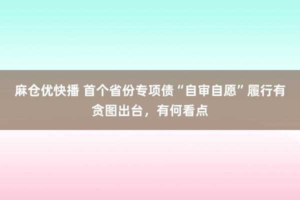 麻仓优快播 首个省份专项债“自审自愿”履行有贪图出台，有何看点
