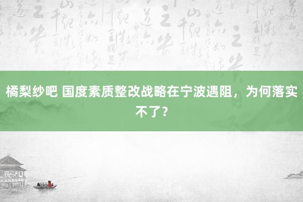 橘梨纱吧 国度素质整改战略在宁波遇阻，为何落实不了？