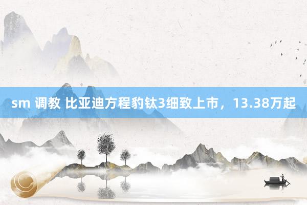sm 调教 比亚迪方程豹钛3细致上市，13.38万起