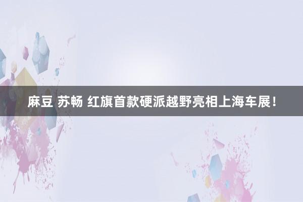 麻豆 苏畅 红旗首款硬派越野亮相上海车展！