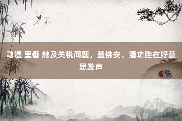动漫 里番 触及关税问题，蓝佛安、潘功胜在好意思发声