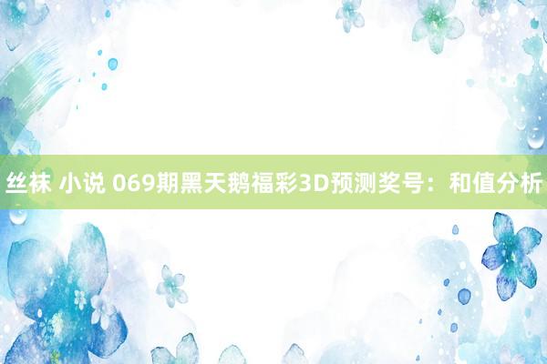 丝袜 小说 069期黑天鹅福彩3D预测奖号：和值分析